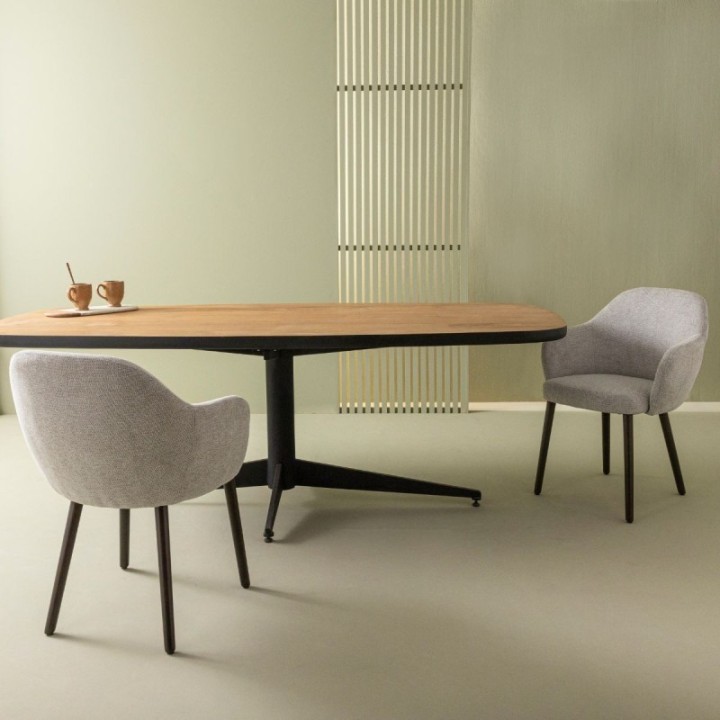 Lot de 2 Fauteuils de table Ernest gris