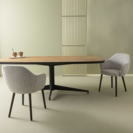 Lot de 2 Fauteuils de table Ernest gris